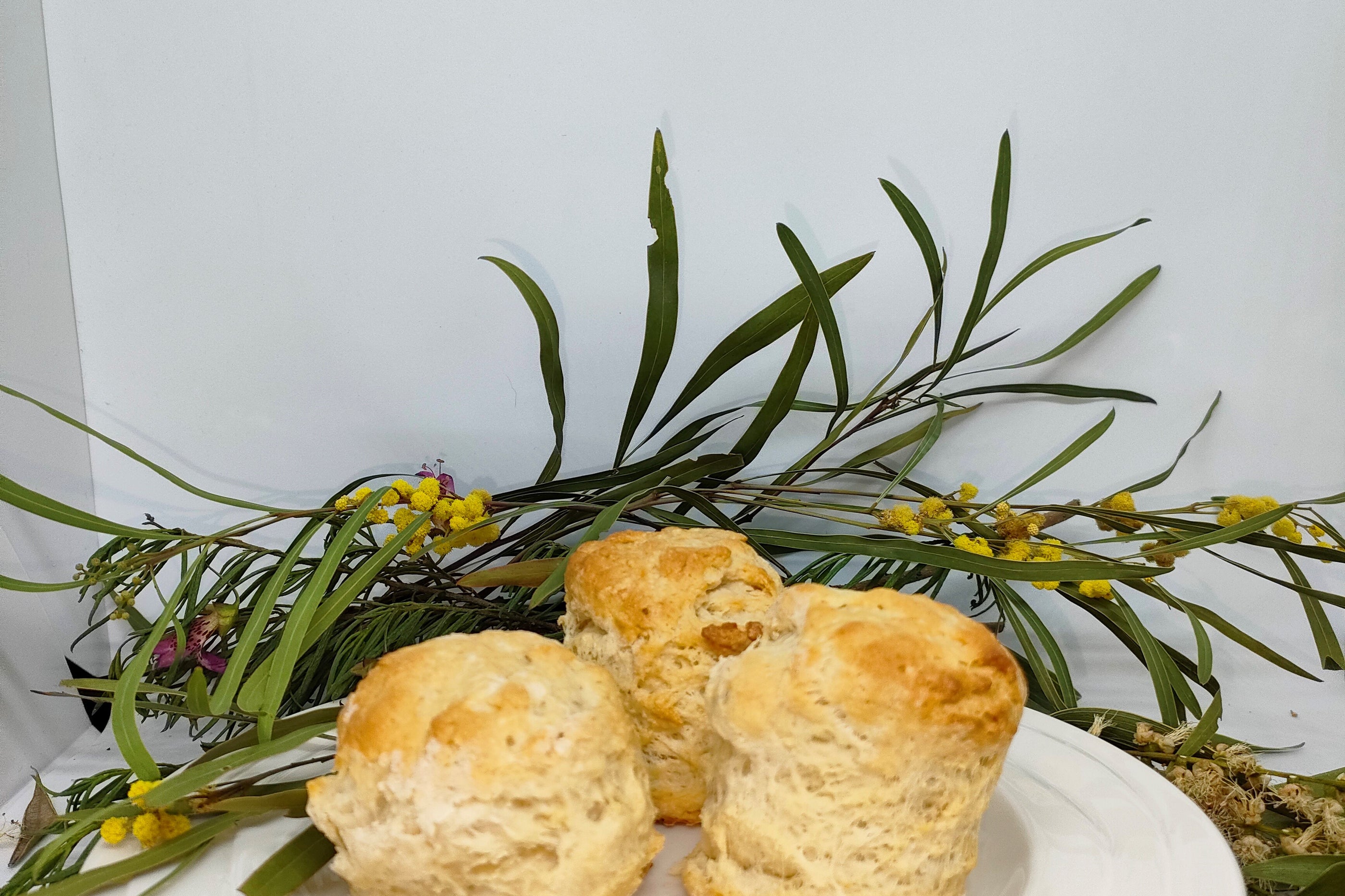 Scone Native Recipes – Native Oz Bushfoods