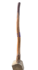 Plain Didgeridoo with Bark End